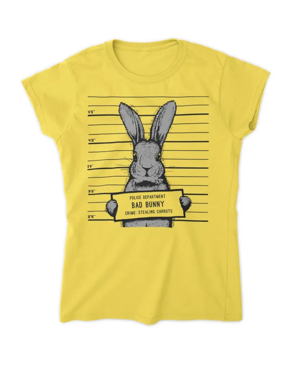Women's Soft Style Fitted T-Shirt