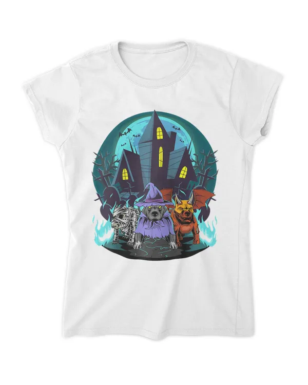 Women's Soft Style Fitted T-Shirt