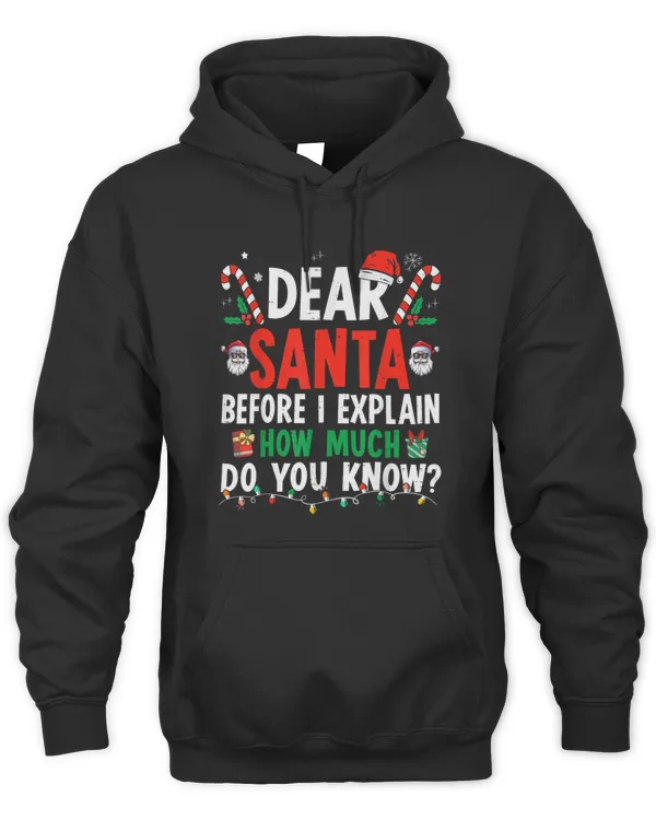 Dear Santa I Can Explain Sweatshirt Funny Christmas Shirts Kids Adults T-Shirt