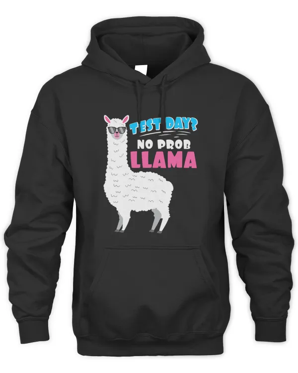 Test Day Teaching Funny Teacher Exam Testing Llama