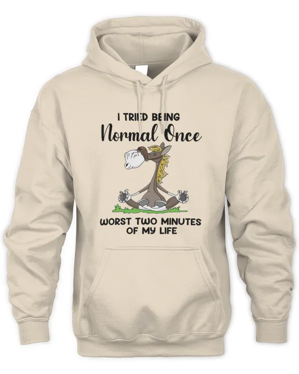 I tried being normal once funny horse gift