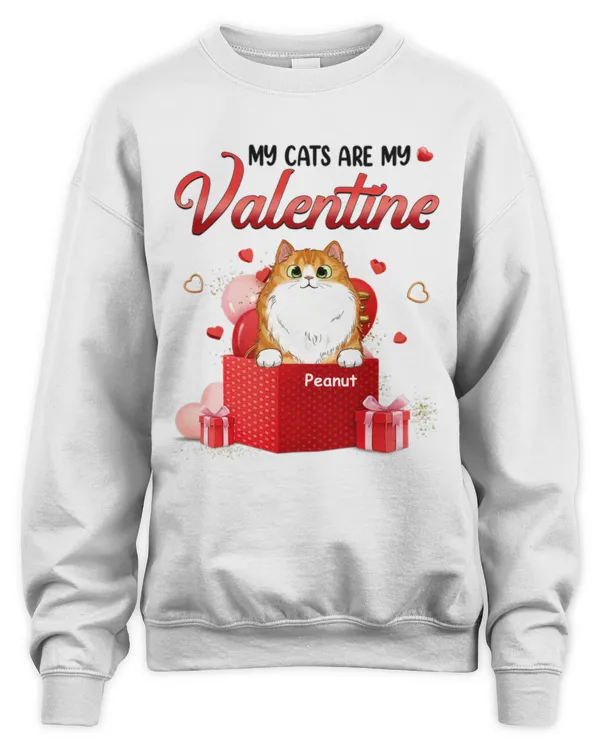 My Cats My Valentine Gift Box Personalized Shirt QTCAT130123A5