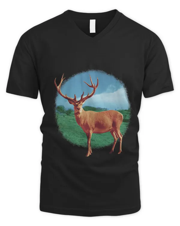 Men's V-Neck T-Shirt