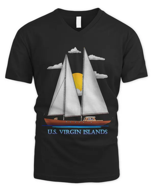 Men's V-Neck T-Shirt