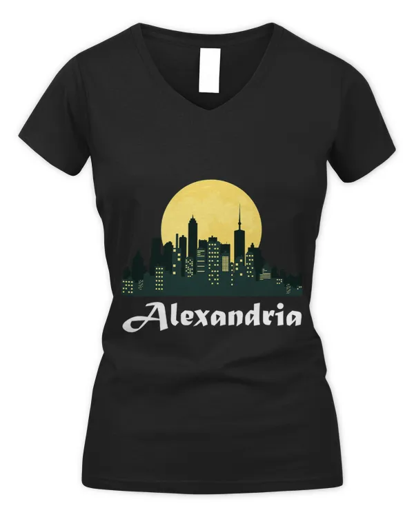 Women's V-Neck T-Shirt