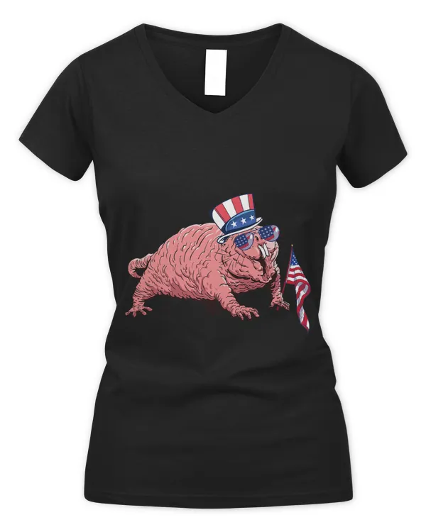 Women's V-Neck T-Shirt