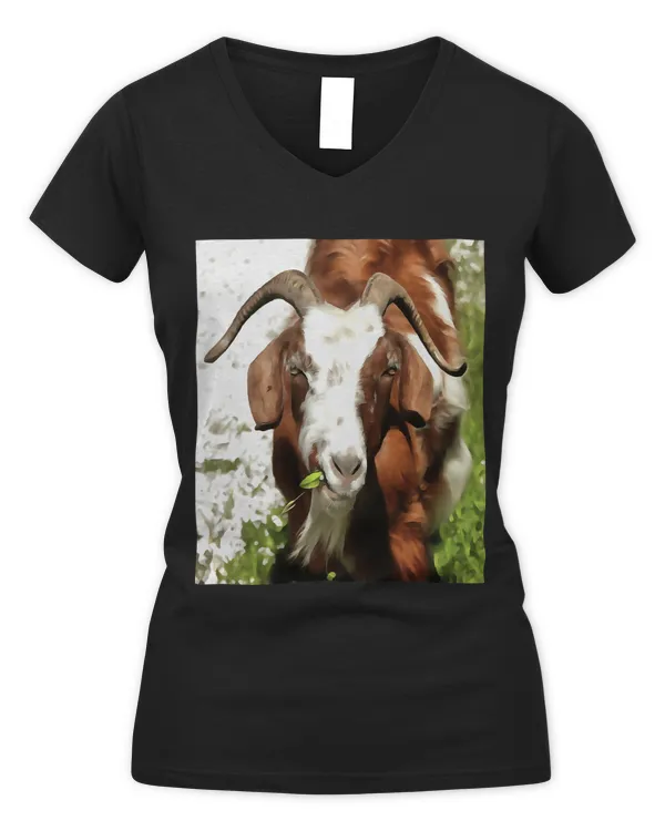 Women's V-Neck T-Shirt