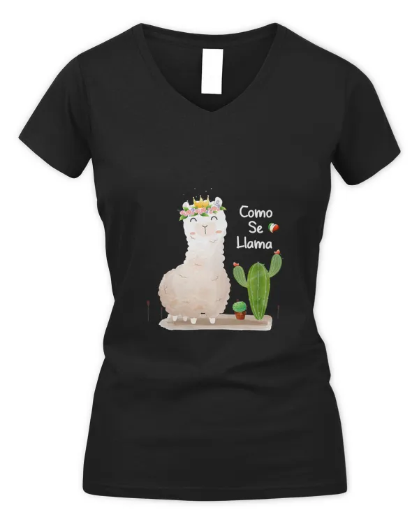 Women's V-Neck T-Shirt