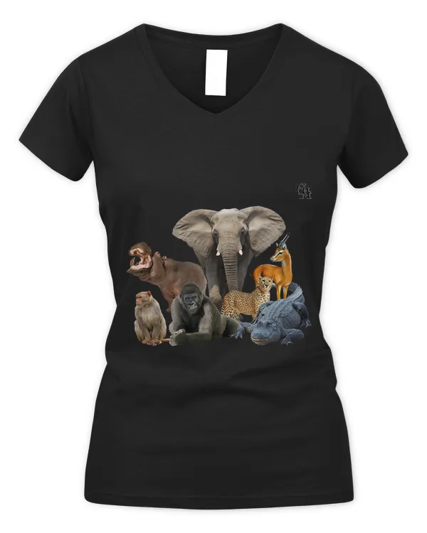 Women's V-Neck T-Shirt