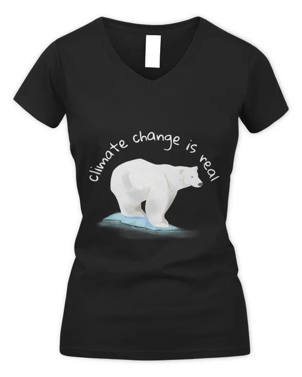 Women's V-Neck T-Shirt