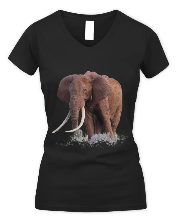 Women's V-Neck T-Shirt