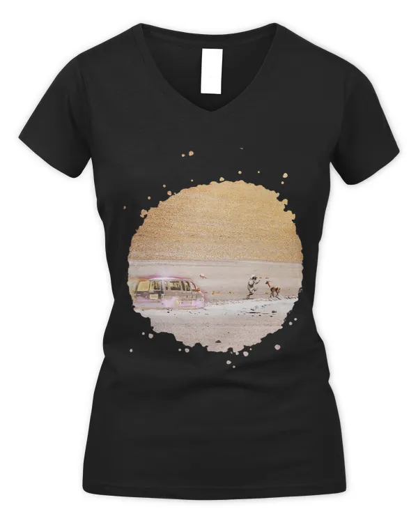 Women's V-Neck T-Shirt