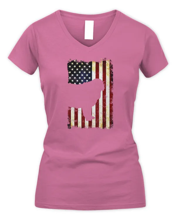 Women's V-Neck T-Shirt