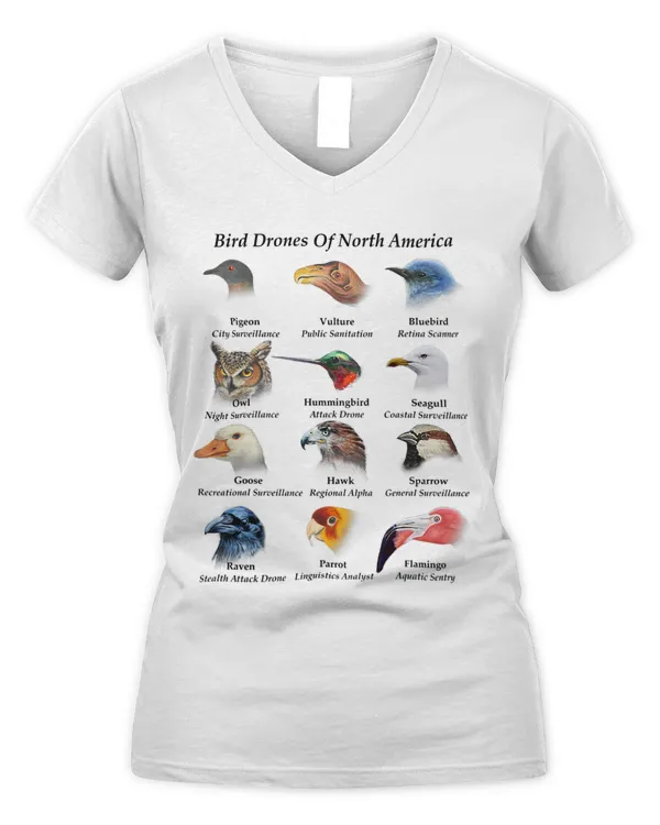 Women's V-Neck T-Shirt