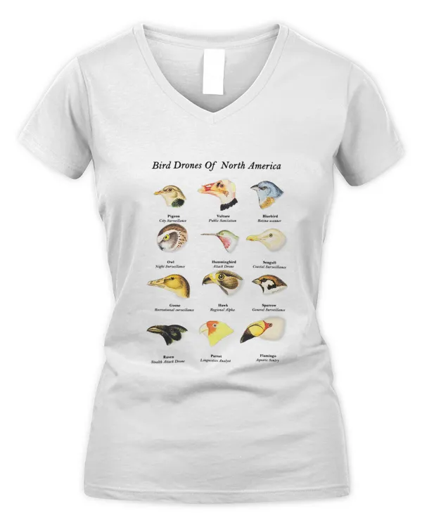 Women's V-Neck T-Shirt