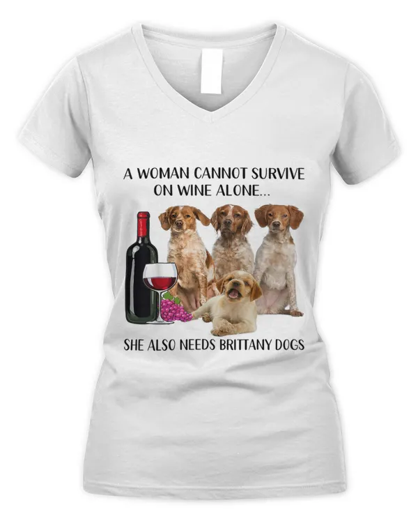 Women's V-Neck T-Shirt