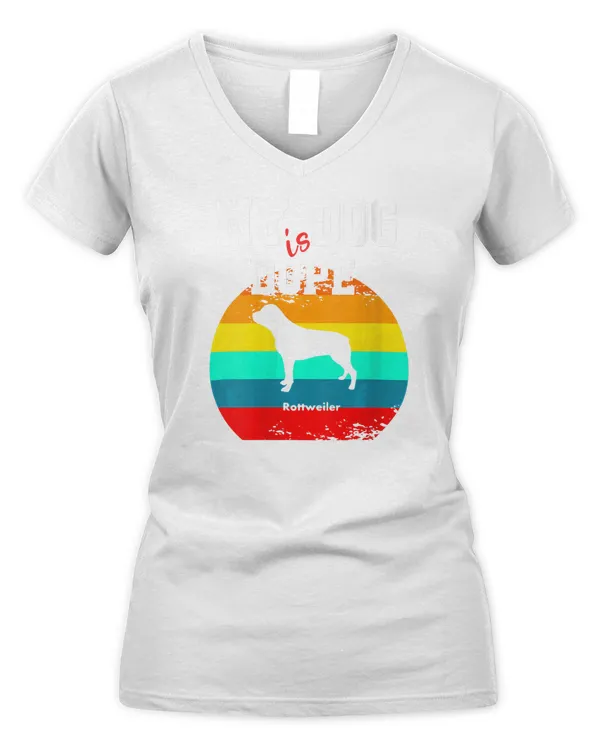 Women's V-Neck T-Shirt