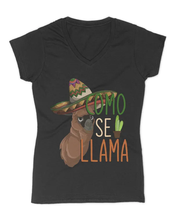 Women's V-Neck T-Shirt