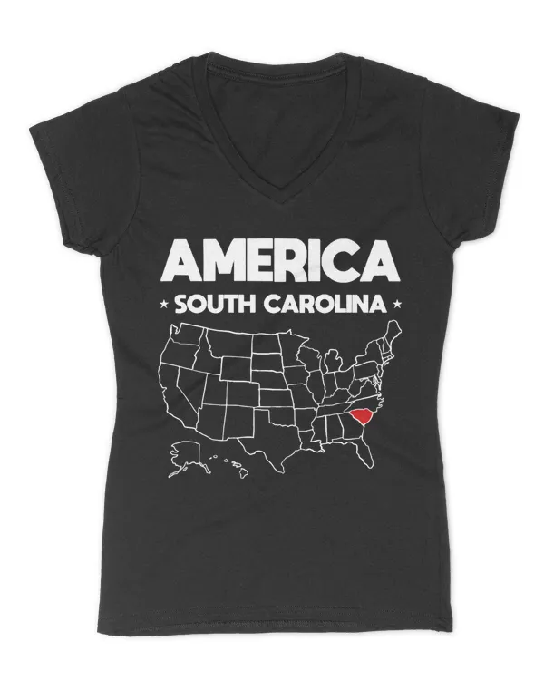 Women's V-Neck T-Shirt