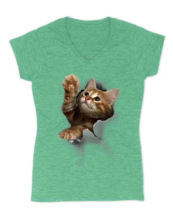 Women's V-Neck T-Shirt