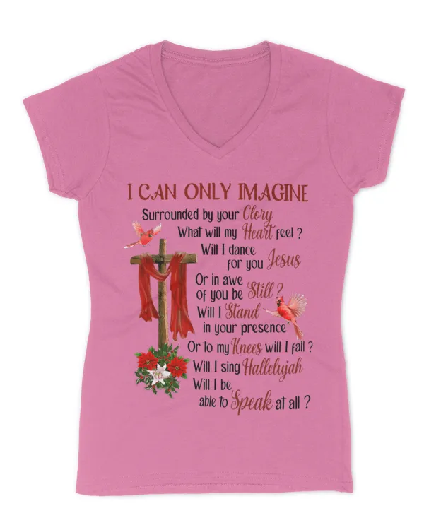 Women's V-Neck T-Shirt