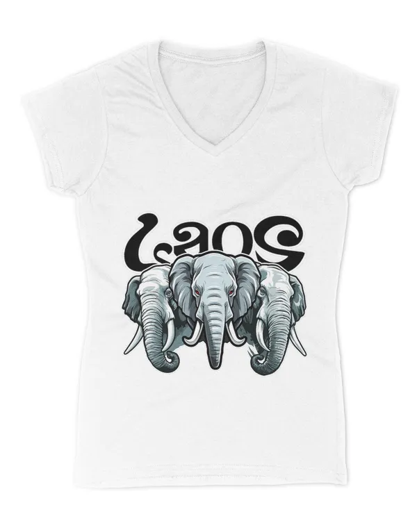 Women's V-Neck T-Shirt