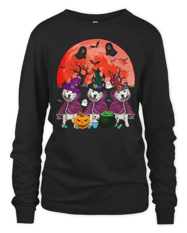 Women's Long Sleeved T-Shirt