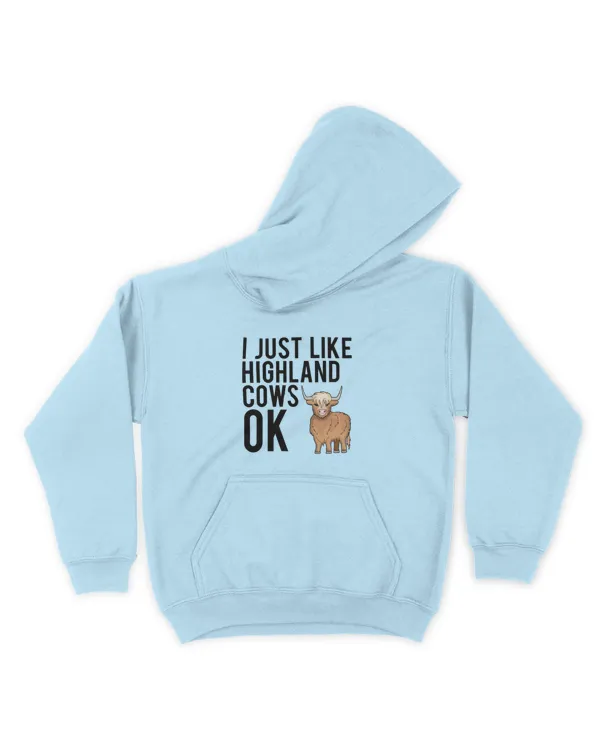 Kids Pullover Hoodie