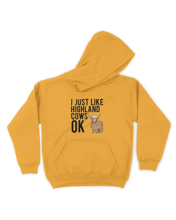 Kids Pullover Hoodie