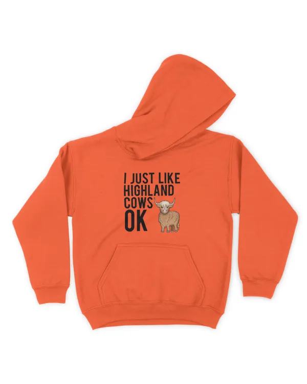 Kids Pullover Hoodie