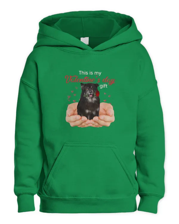 Kids Pullover Hoodie