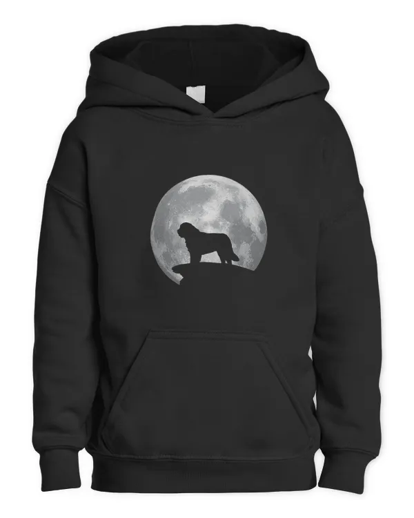 Kids Pullover Hoodie