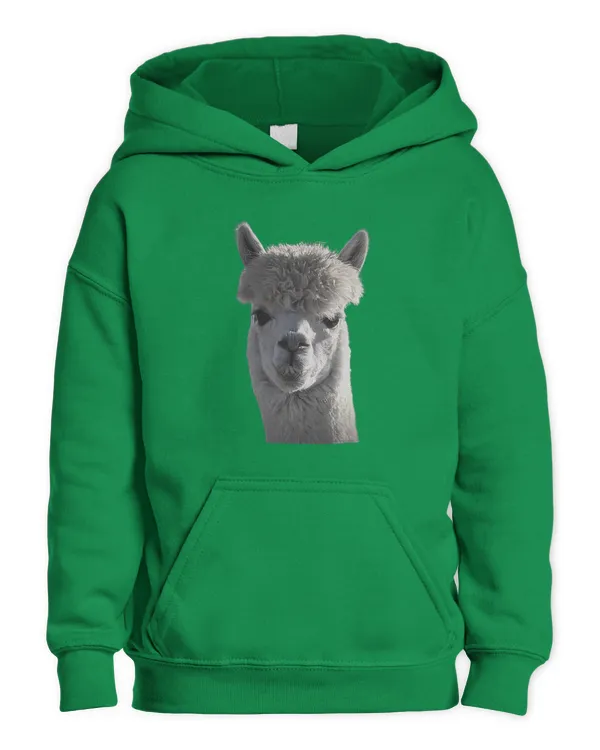 Kids Pullover Hoodie