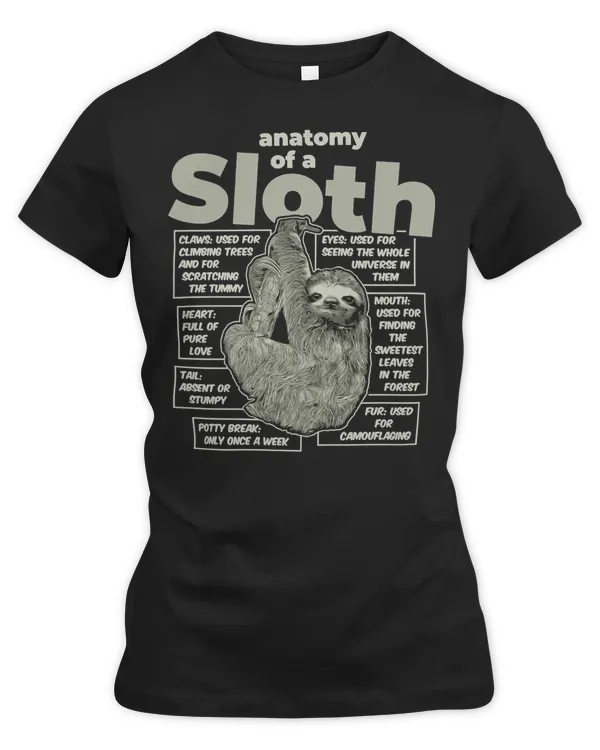 Sloth Anatomy of a Sloth622 sloths