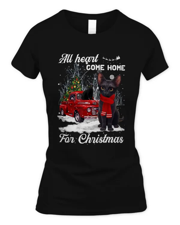 Black Cat Christmas Truck Ornaments Santa Lover Cat Xmas
