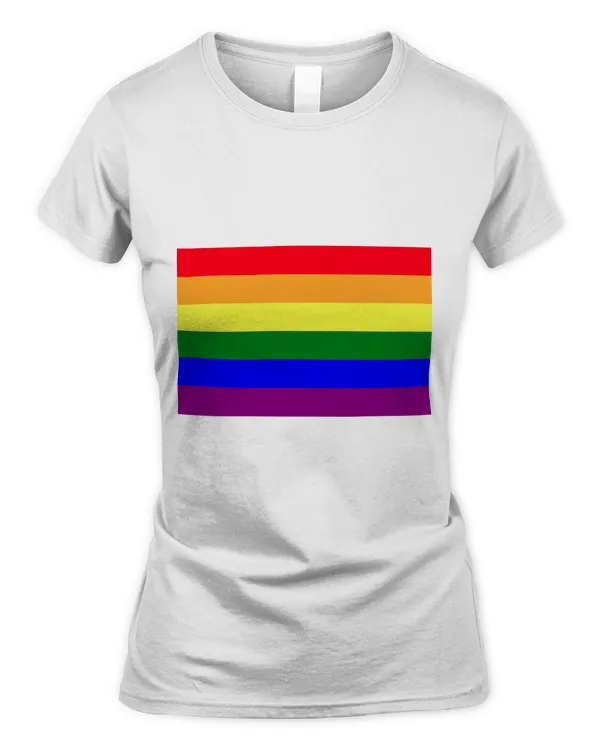 LGBT Pride Month T-Shirt, LGBT History Month Slogan Shirt, LGBT Flag