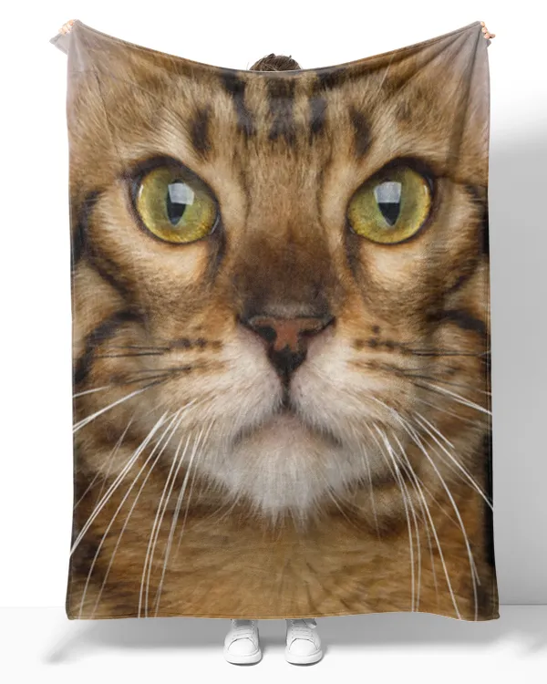 Bengal Cat Face Front