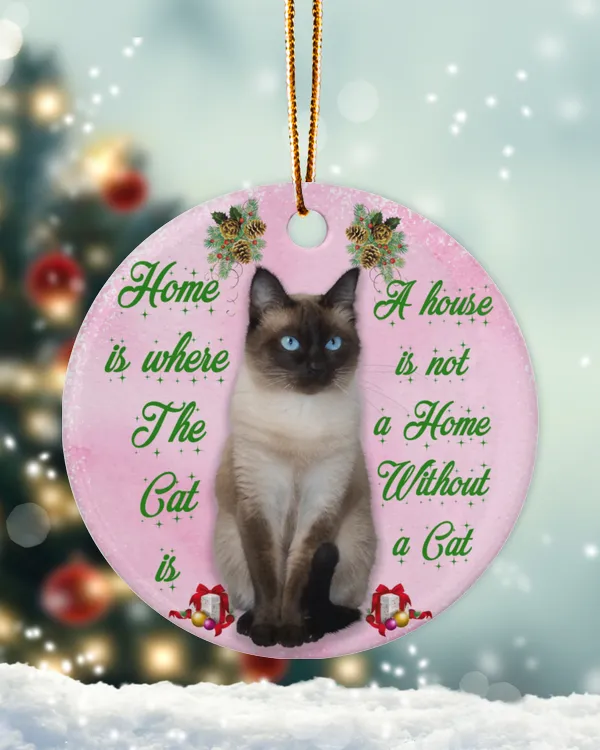 Home is where the cat is, A house is not a Home without a Cat