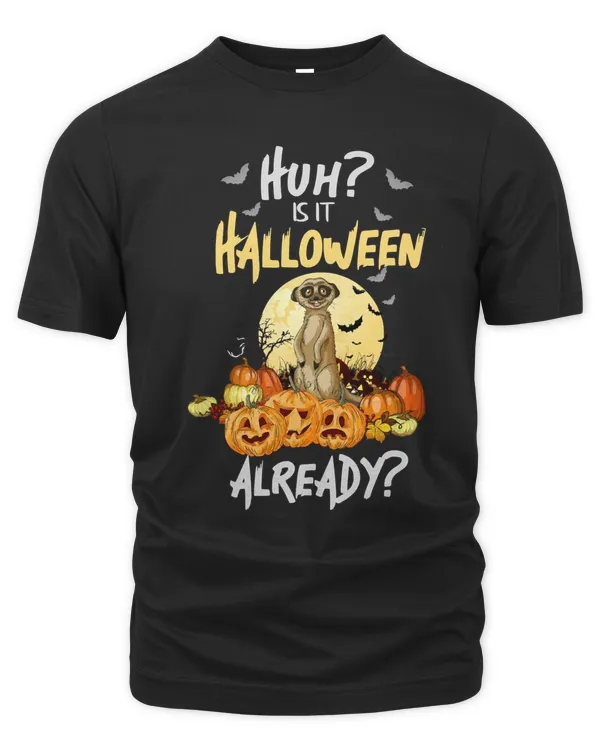 Halloween Huh Is It Halloween Already Meerkat Happy Halloween 236 Pumpkin