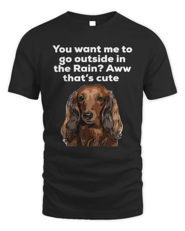 Dog Dachshund you want me to go outside dog lover