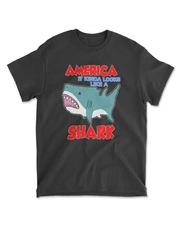 America It Kinda Looks Like A Shark