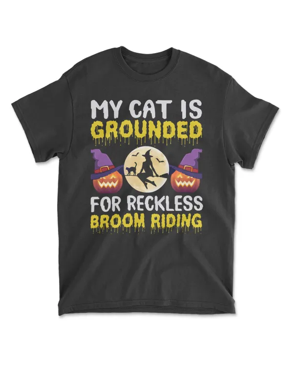 My Cat Is Grounded For Reckless Broom Riding