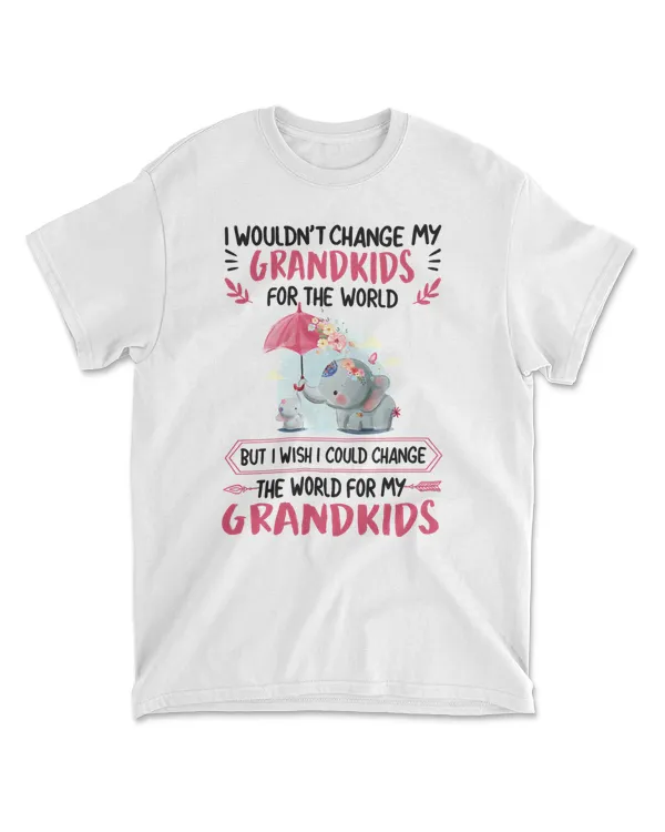 Elephant Elephant GrandmaGrandkid I Wouldnt Change My Grandkids For The World12 Elephant lovers