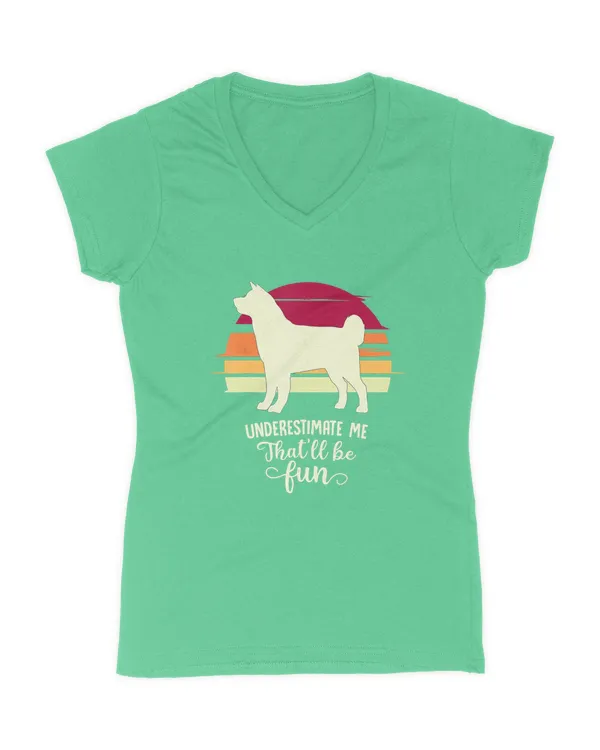 Women's V-Neck T-Shirt