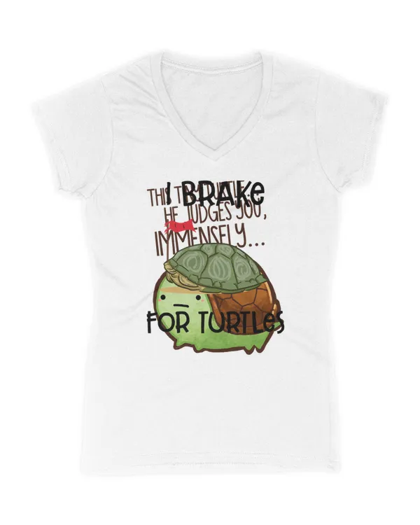 Women's V-Neck T-Shirt