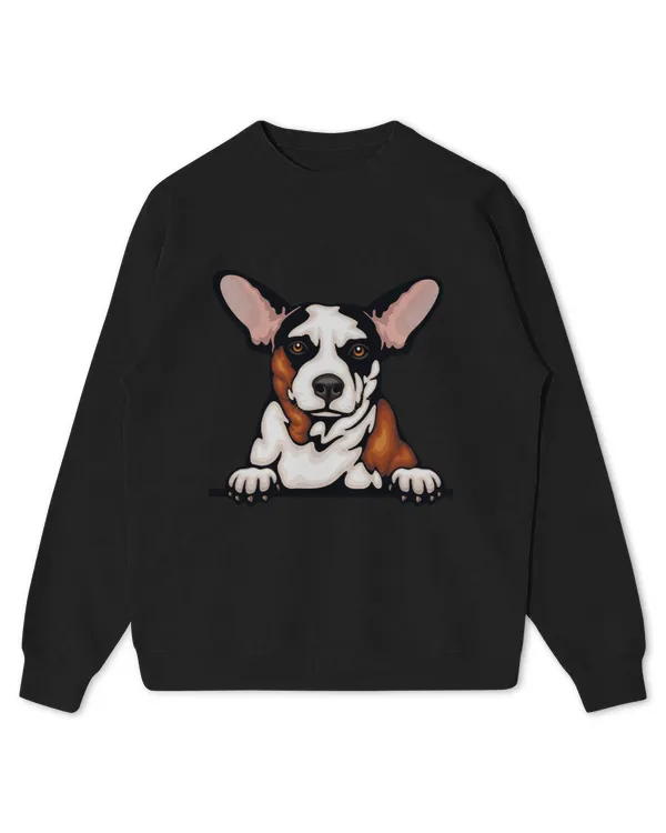 Kids Standard Sweatshirt