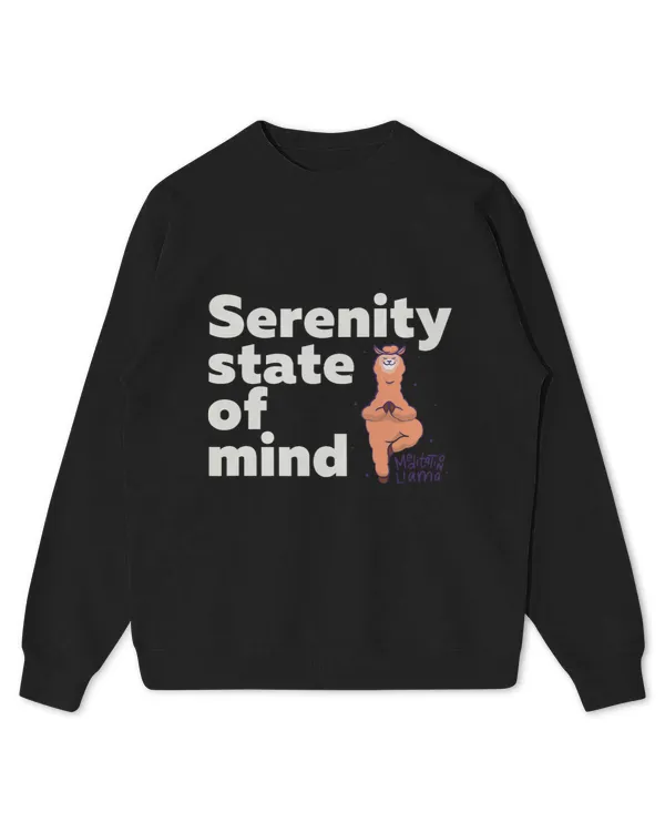 Kids Standard Sweatshirt