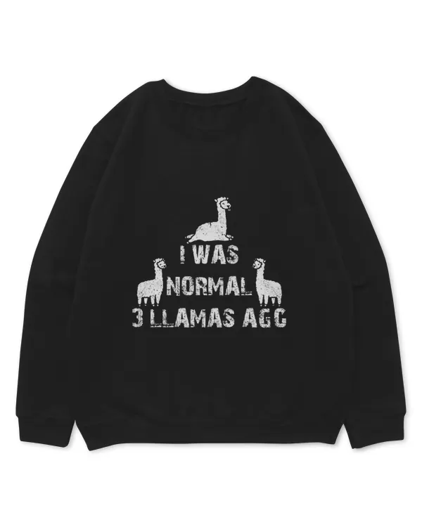 Kids Standard Sweatshirt