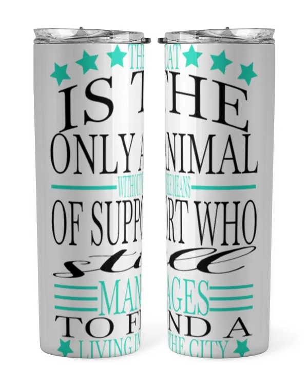 Skinny Tumbler