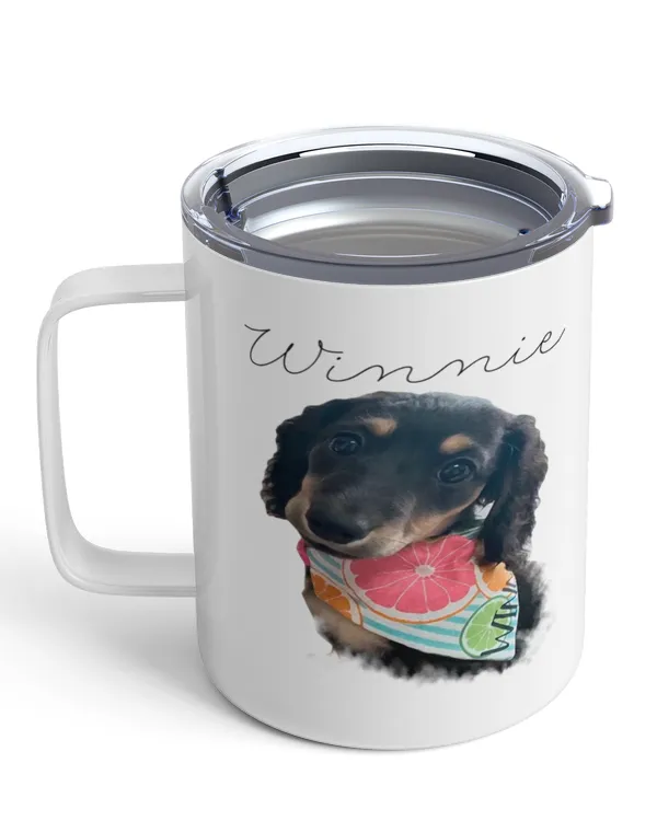 Insulated Mug